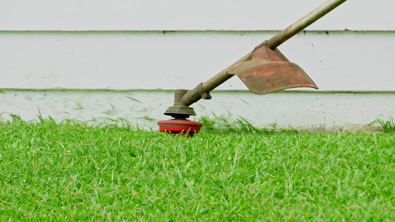 Best Tree Disease Treatment  in Milwaukie, OR